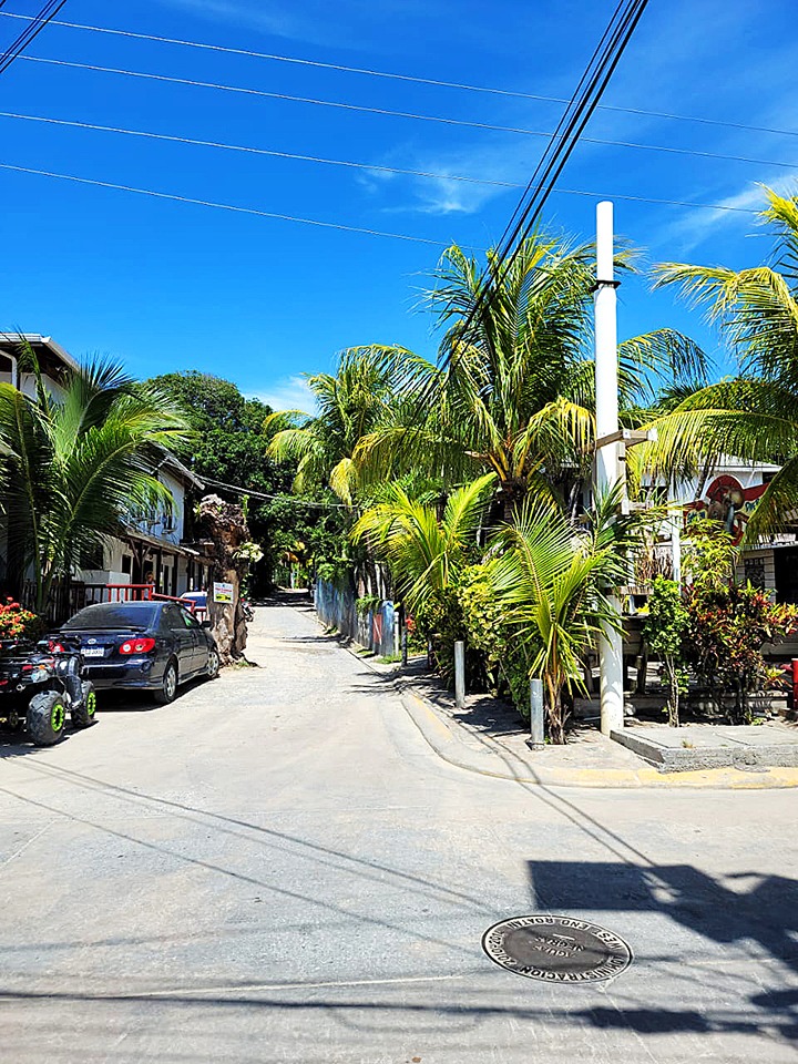 A tropical street with palm trees, houses, parked cars, and a dirt road under a sunny sky