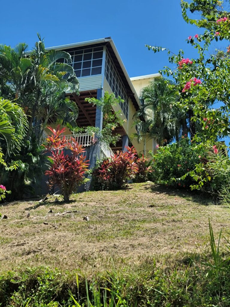 House Exterior on a Hill – A modern house with a raised deck and tropical landscaping, viewed from below on a sunny day
