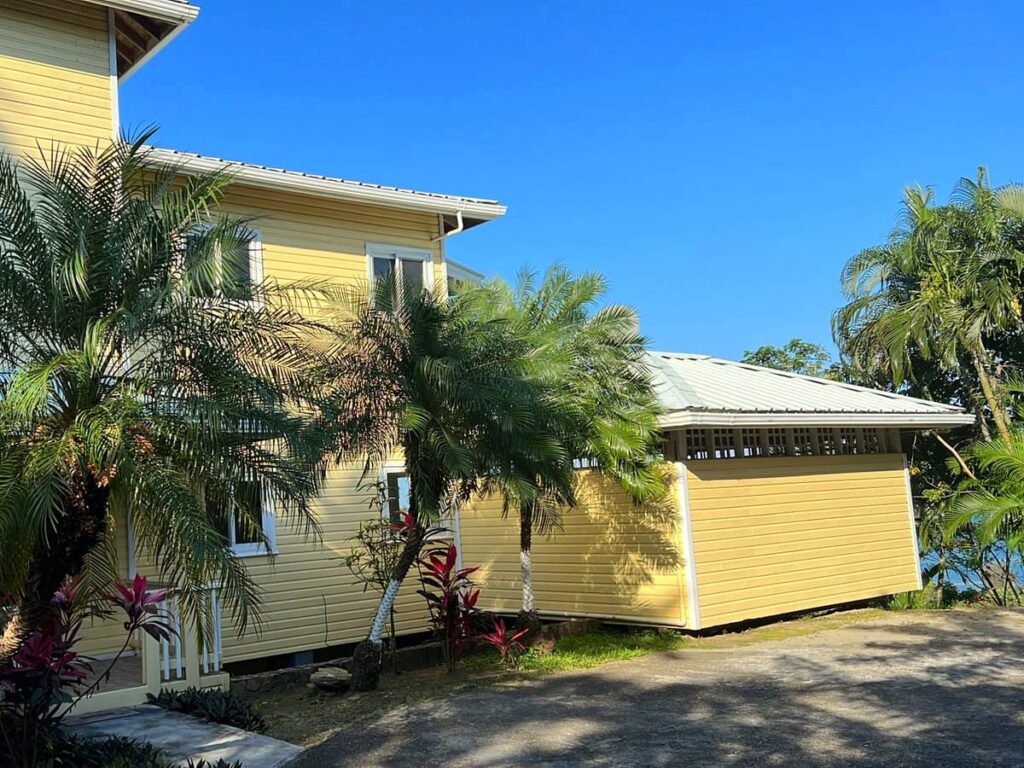 Yellow House Exterior: A bright yellow two-story house surrounded by tropical palm trees and plants under a clear blue sky